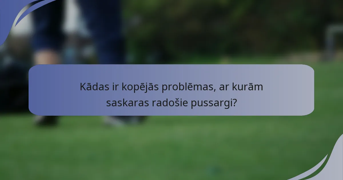 Kādas ir kopējās problēmas, ar kurām saskaras radošie pussargi?